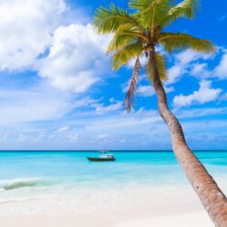 138308672_3696007877159083_7550404727501964069_n