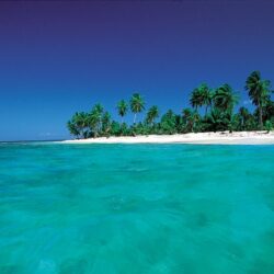 64976330_2318889244870960_4771434702777090048_n