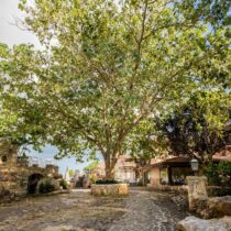 ALTOS-DE-CHAVON-1-de-36