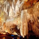 105699432_3128318180594725_1888767084106086666_o (1)