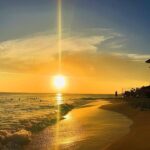 120198238_3525464570837461_7547559718579410489_o