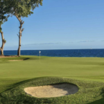 Screenshot 2024-08-30 at 2.24.53 PM